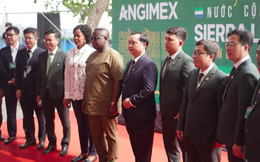 Angimex (AGM): Ký kết xuất khẩu gạo cho Sierra Leone với tổng giá trị lên đến 1,3-1,4 tỷ USD