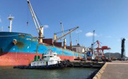Kiến nghị giảm một loạt phí hỗ trợ vận tải biển để bình ổn giá cước