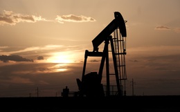 VNDIRECT: Giá dầu Brent sẽ tái cân bằng trong vài tháng tới, NĐT nên chú ý đến cổ phiếu dầu khí ít nhạy cảm hơn với giá dầu