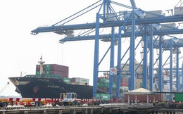 Đề xuất TP HCM mức thu phí cảng biển chung cho hàng hóa đóng ghép trong 1 container