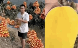 Quảng cáo không hề "giả trân" như nông dân Trung Quốc: Gắn trái giả lên cây, dàn dựng đồ tươi nhưng thực chất "đông lạnh"?