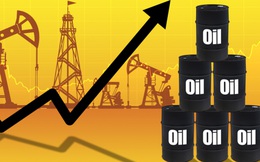 Tiếp đà tăng lên 118 USD/thùng, giá dầu xô đổ kỷ lục cao nhất 9 năm