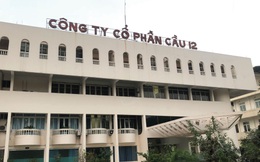 Doanh nghiệp xây dựng cầu đầu tiên của Việt Nam bị ngân hàng siết nợ: Kinh doanh bết bát sau khi lên sàn chứng khoán, vẫn còn nợ cổ tức từ năm 2016