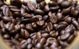 Giá cà phê giảm mạnh khi các nhà xuất khẩu đưa Nga vào danh sách thị trường rủi ro cao buộc phải thanh toán trước khi giao hàng