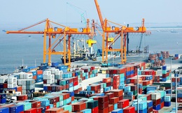Thương mại giữa Việt Nam với Nga và Ukraine chiếm chưa tới 1% kim ngạch nhập khẩu 2 tháng đầu năm