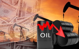 Chứng khoán Mỹ bùng nổ, Nasdaq tăng tới 3,6% trong khi thị trường hàng hóa đỏ lửa, dầu Brent chỉ còn 112 USD/thùng