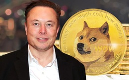 Elon Musk gọi tên Dogecoin trong đề xuất mới nhất cho Twitter: Ý định gia nhập Twitter đã rõ?