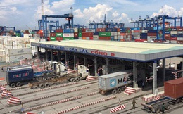 TP HCM thu hơn 55 tỉ đồng phí hạ tầng cảng biển sau gần 10 ngày