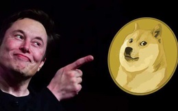 Tỷ phú Elon Musk ra tweet mới: Ai đăng ký dịch vụ của Twitter có thể sẽ được trả Dogecoin