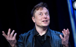 Mặc các tỷ phú săn giấc mơ ‘trường sinh bất lão’, Elon Musk đi ngược số đông: “Tôi không sợ chết, chết là giải thoát”