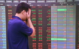 Gần 100 cổ phiếu "nằm sàn", chứng khoán Việt mất đi hàng tỷ USD vốn hoá: Chuyện gì đang xảy ra?