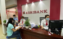 Thu nhập nhân viên Agribank thấp nhất nhóm Big4, nhân sự gần gấp đôi nhưng lợi nhuận chỉ bằng nửa Vietcombank