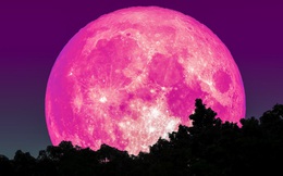 Thế giới sắp có cơ hội chứng kiến hiện tượng "trăng hồng" vào cuối tuần