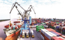 VCBS: Viconship sẽ hoàn thành hệ thống logistics hàng hải quy mô lớn nhất cả nước, bên cạnh Gemadept, Tân Cảng Sài Gòn và Vinalines