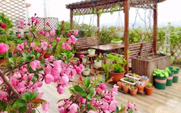 Tận dụng triệt để, không để thừa 1m² nào trên sân thượng, mẹ đảm có được khu vườn hoa tươi rực rỡ lại có cả rau sạch dùng quanh năm