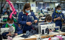 'Việt Nam có cơ hội thu hút làn sóng FDI mới từ châu Âu trong tương lai'