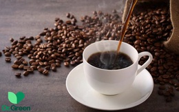 6 cách uống cà phê có lợi nhất của biên tập viên nổi tiếng: Số 1 và 6 ít người biết để làm