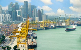 Cơ hội hàng chục tỷ USD cho TP. HCM từ "siêu cảng" quốc tế Cần Giờ - Cái Mép