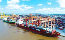 Tổng Công ty Hàng Hải Việt Nam (MVN) sẽ chào bán riêng lẻ tăng vốn thêm 1.000 tỷ đồng đầu tư đội tàu container