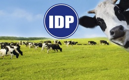 Đặt kế hoạch "đi lùi" trong năm 2022, Sữa quốc tế (IDP) đạt gần 48% mục tiêu lợi nhuận cả năm ngay từ quý I