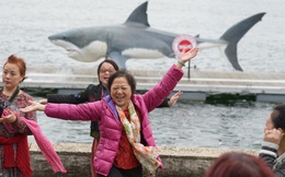 Trung Quốc kêu gọi "cá mập" bắt hàng sau khi thị trường rơi mạnh