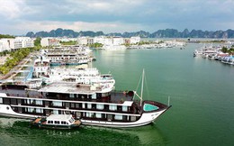Quảng Ninh không cấp phép hơn 170 tàu du lịch