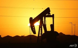 Giá dầu cao khiến hầu hết chi phí đều tăng