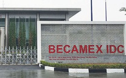 Becamex (BCM) lên kế hoạch lợi nhuận hợp nhất tăng gấp đôi, dự chia cổ tức tỷ lệ 8% bằng tiền