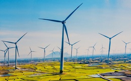 Báo Nhật: Thị trường mua bán phát thải carbon tại Việt Nam được thành lập sẽ khiến nhiều doanh nghiệp lớn phải trả phí để xả thải