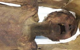 Bí ẩn “xác ướp hoàng tử la hét” 3.000 tuổi với vẻ mặt đau đớn đến ám ảnh: Kết quả phân tích ADN tiết lộ câu chuyện bi thảm đằng sau