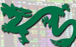 Cổ đông lớn Dragon Capital tiếp tục "gom" thêm 1 triệu cổ phiếu Nam Long (NLG)