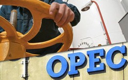 OPEC chịu sức ép khi khước từ gia tăng thêm sản lượng dầu