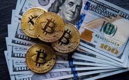 Nhà đầu tư đổ tiền bắt đáy Bitcoin