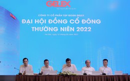 ĐHĐCĐ Gelex: Việc mua cổ phần doanh nghiệp nhà nước được thực hiện đúng luật, CEO Nguyễn Văn Tuấn cam kết mua 10 triệu cổ phiếu để đầu tư lâu dài