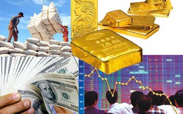 Tài chính ngân hàng ngày 13/5: Giá USD tăng mạnh, vàng mất gần 1 triệu đồng/lượng, 4 ngân hàng Việt vào danh sách Global 2000