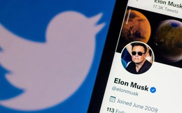 Elon Musk tạm dừng mua Twitter