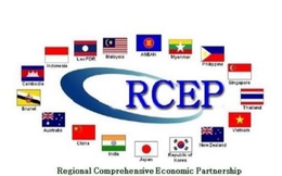 Hoàn thiện chính sách để tận dụng cơ hội từ RCEP