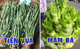 Việt Nam có 4 loại rau giá đắt hơn cả thịt cá, muốn ăn cũng chưa chắc đã có để mua