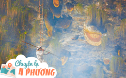 Nghề nguy hiểm trên núi Himalaya: Cheo leo trên vách núi lấy mật mưu sinh, thành quả thu được có giá tới 80 triệu đồng/kg