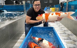 "Vua cá Koi" Thắng Ngô là ai mà sở hữu công ty cá hàng top thế giới, từng gây sốt từ cuộc thi Siêu trí tuệ Việt Nam?