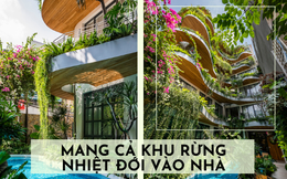 Hòa mình vào không gian nhiệt đới của ngôi nhà nổi bật giữa lòng Sài Gòn: Ai bước vào cũng trầm trồ vì bên trong không khác gì khu nghỉ dưỡng
