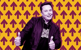 Elon Musk tự tin mang đến điều bất ngờ 'không tưởng' cho Twitter