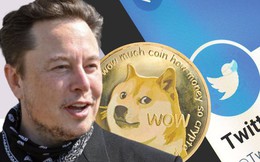 Chuyện gì đây: Elon Musk bị nhà đồng sáng lập Dogecoin gọi là kẻ lừa đảo, bán 'giấc mơ làm giàu' cho người nghèo