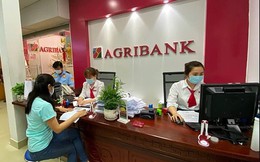 Agribank tiếp tục đấu giá 5 bất động sản chục tỷ để thu hồi nợ