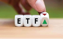 Hai quỹ FTSE Vietnam ETF và VNM ETF sẽ cơ cấu ra sao trong tuần 13-17/6?