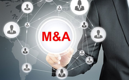 Thị trường M&A công ty chứng khoán sôi động trở lại