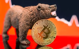 Bitcoin giảm 15%, thủng mốc 24.000 USD khi các nhà đầu tư đua nhau bán tháo
