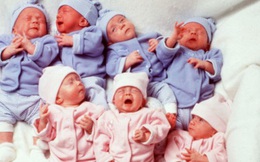 Những đứa trẻ trong ca sinh 7 đầu tiên trên thế giới, từng được gọi là “phép màu y học” sau hơn 20 năm giờ ra sao?