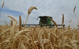 Nga tuyên bố sẽ chỉ bán nông sản cho các nước thân thiện