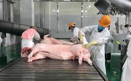 VNDirect Research: 2022 vẫn là năm đầy thách thức với các doanh nghiệp sản xuất thịt